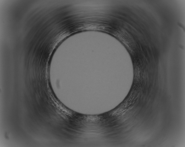 X0000097460848200803201424