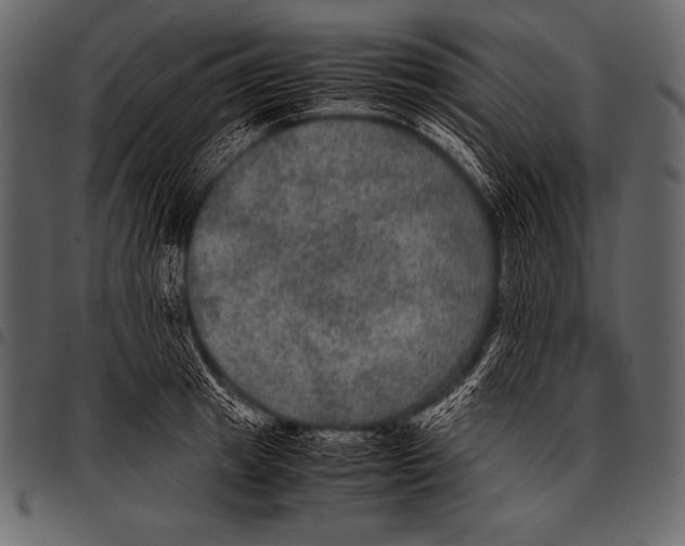 X0000097460849200803201424