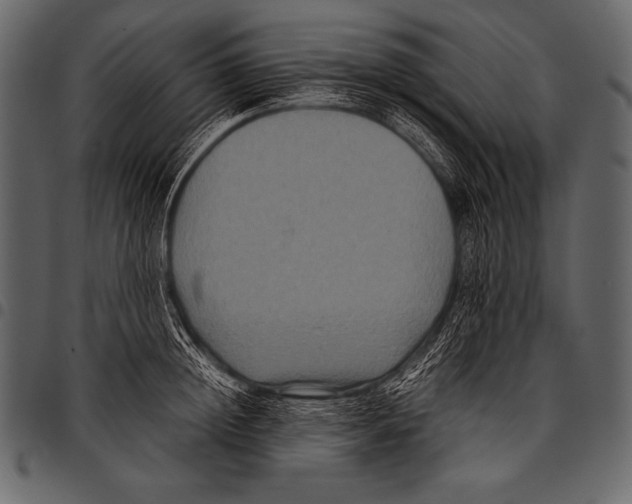 X0000097460852200803201424