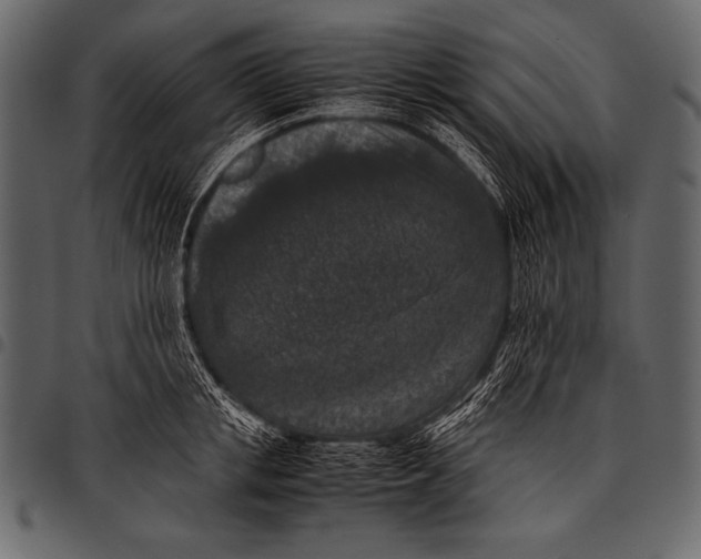 X0000097460853200803201424