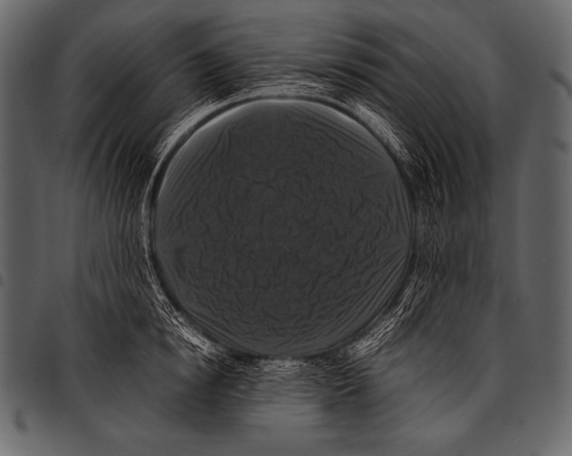 X0000097460854200803201424