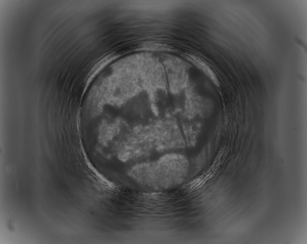 X0000097460855200803201424