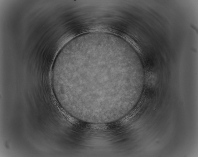 X0000097460856200803201424