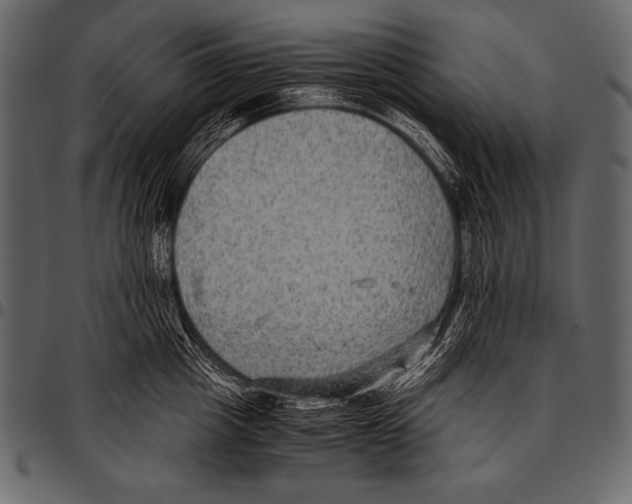 X0000097460857200803201424