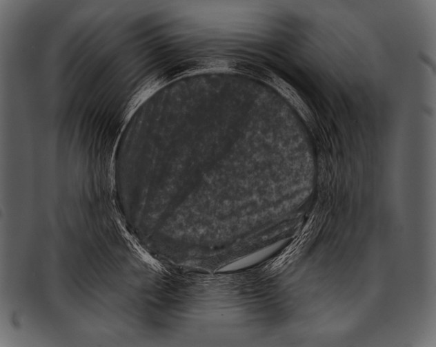 X0000097460858200803201424