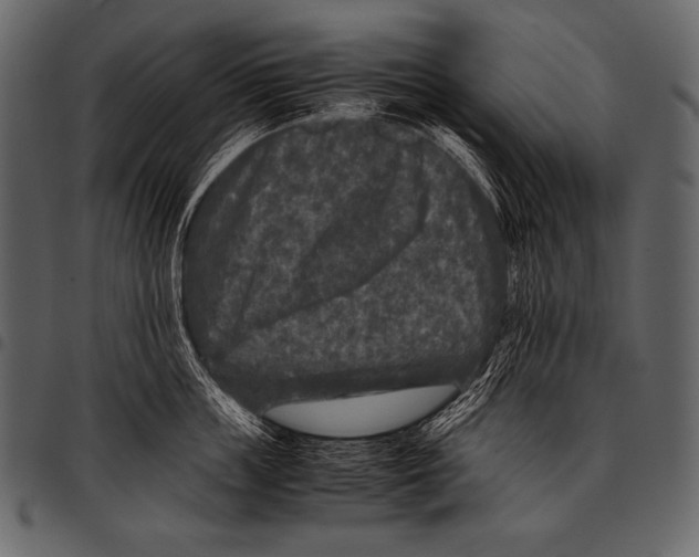 X0000097460859200803201425