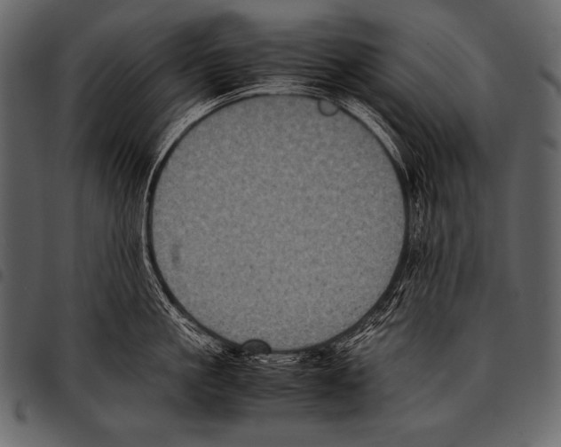 X0000097460861200803201425