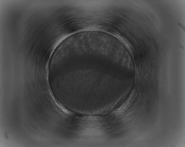 X0000097460862200803201425