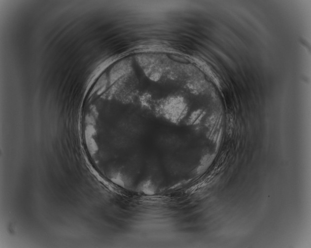 X0000097460863200803201425