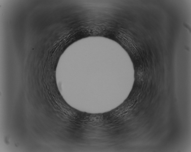 X0000097460865200803201424