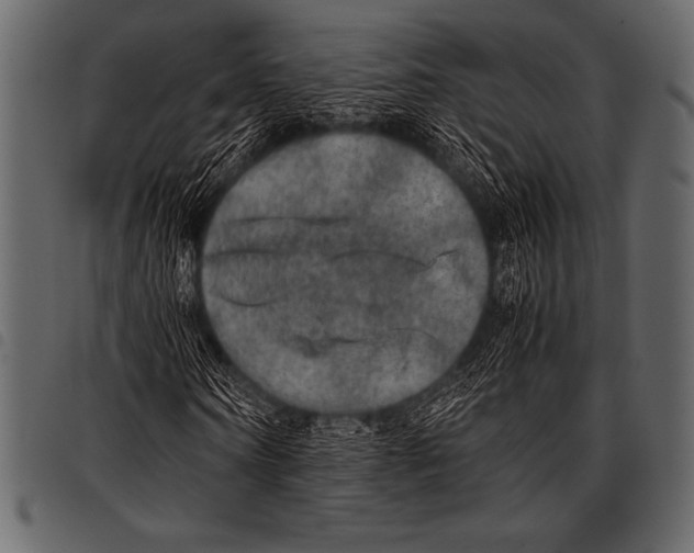 X0000097460866200803201424