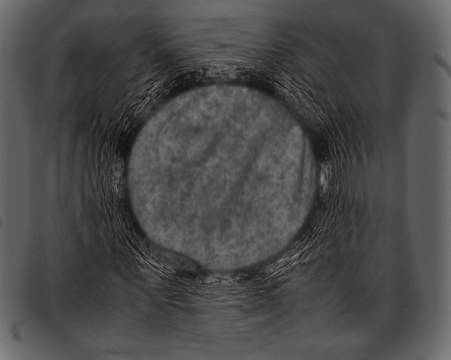 X0000097460867200803201424