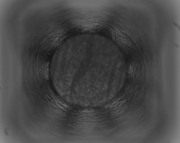 X0000097460868200803201424