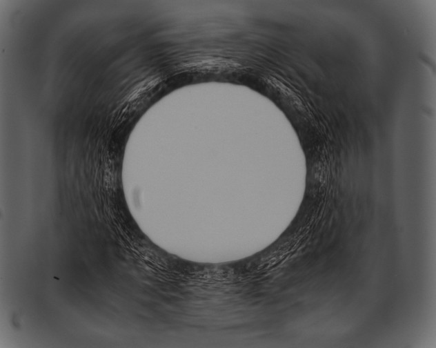 X0000097460869200803201424