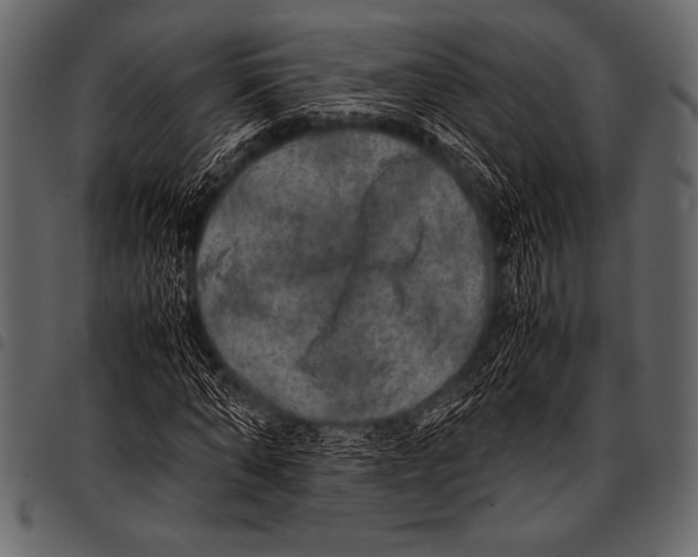 X0000097460870200803201424