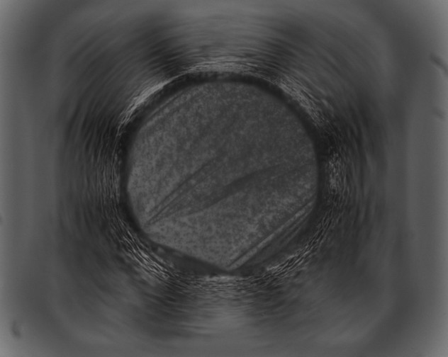 X0000097460872200803201424