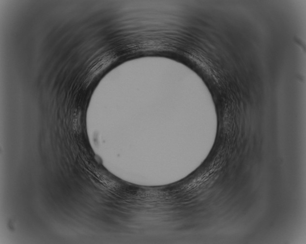 X0000097460873200803201424