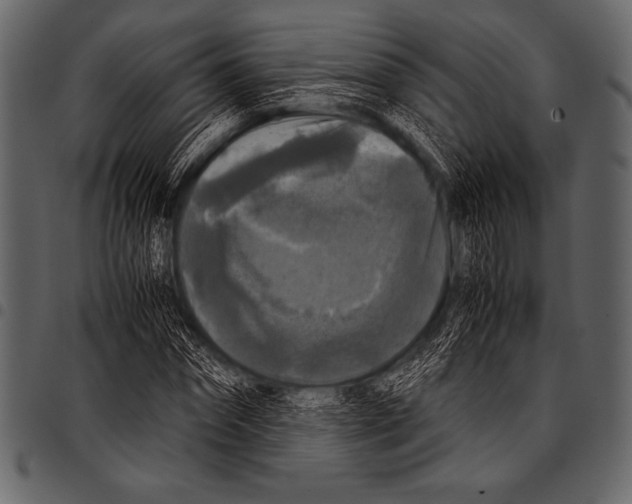 X0000097460874200803201424