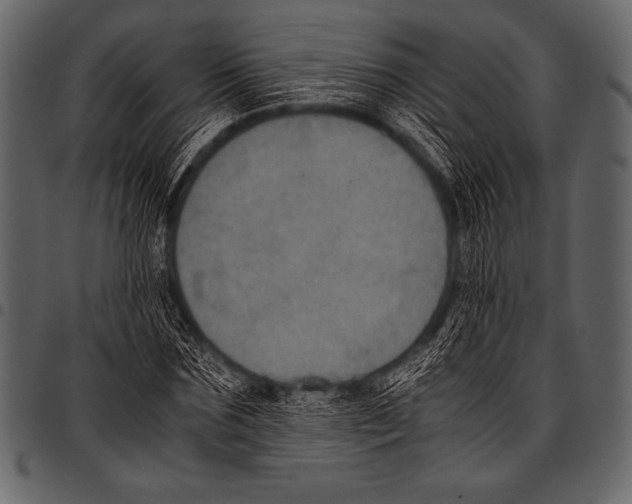 X0000097460875200803201424