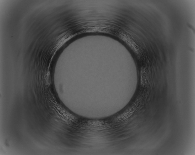 X0000097460876200803201424