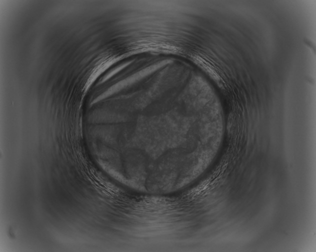 X0000097460877200803201424