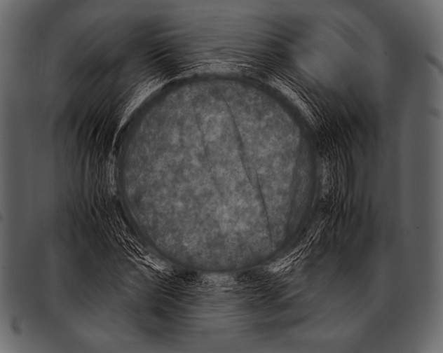 X0000097460878200803201424