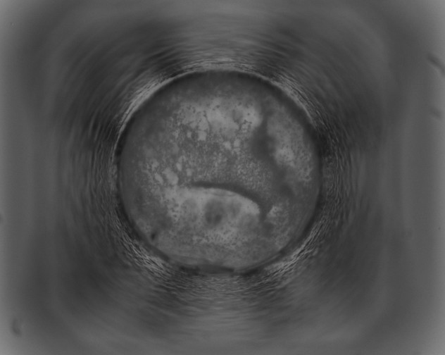 X0000097460879200803201424