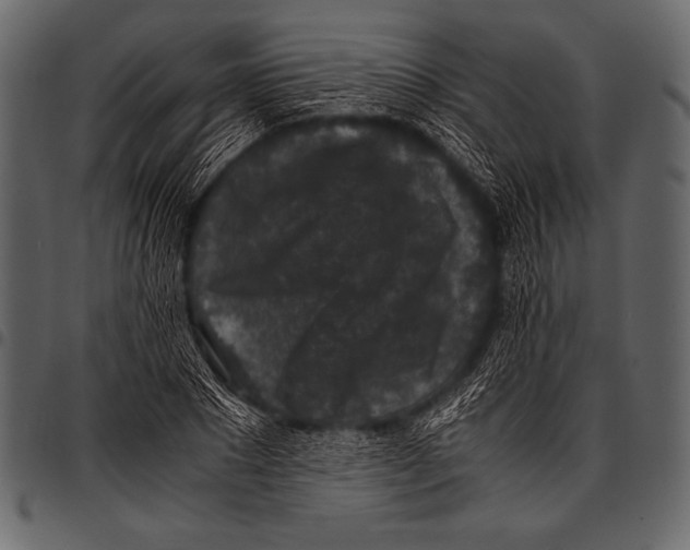 X0000097460881200803201424