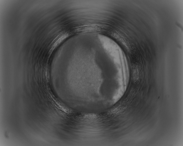 X0000097460882200803201424