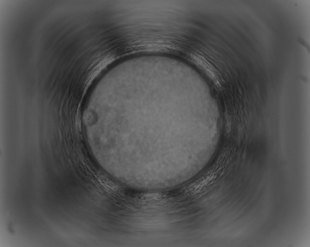 X0000097460883200803201424