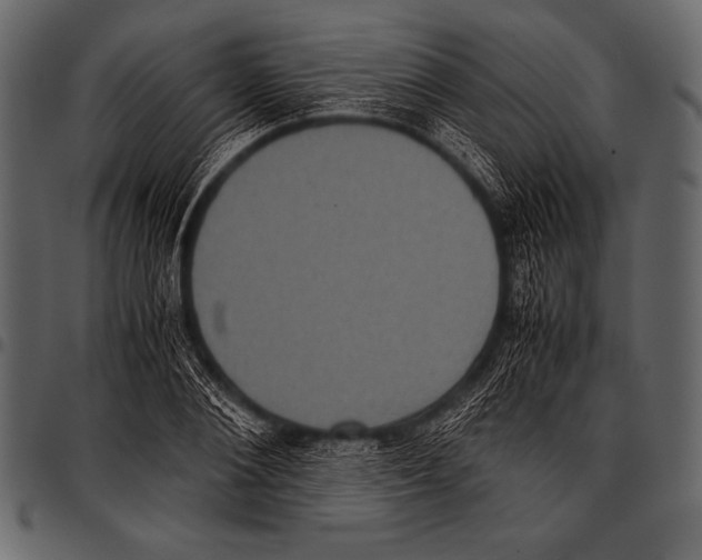 X0000097460884200803201424