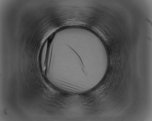 X0000097460885200803201424