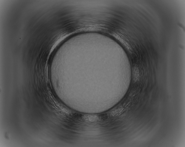 X0000097460886200803201424