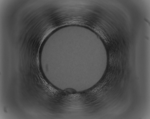 X0000097460888200803201424