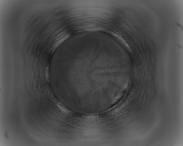 X0000097460889200803201424