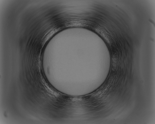 X0000097460890200803201424