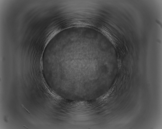 X0000097460891200803201424