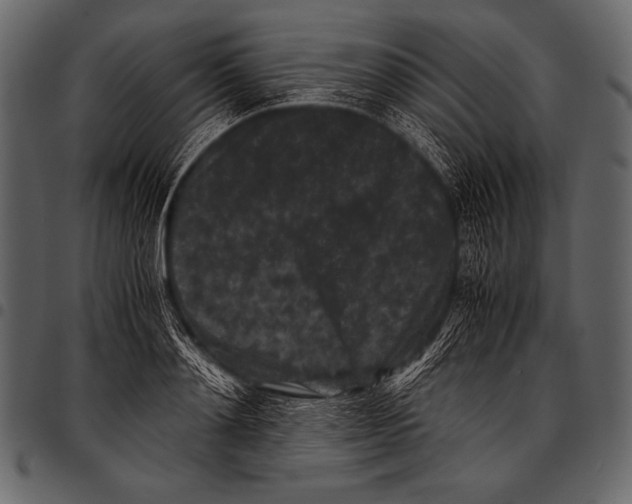 X0000097460892200803201424