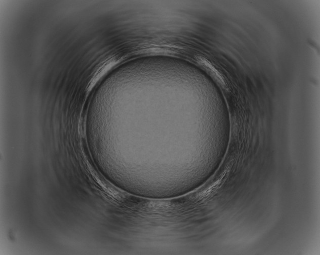 X0000097460893200803201424