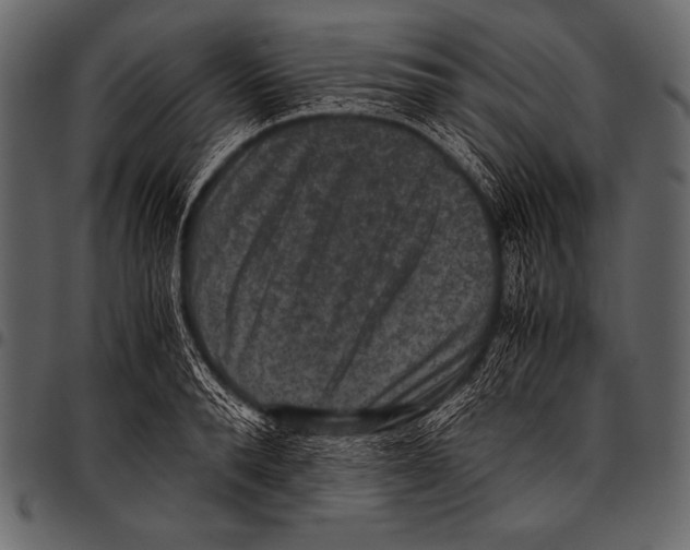 X0000097460896200803201423