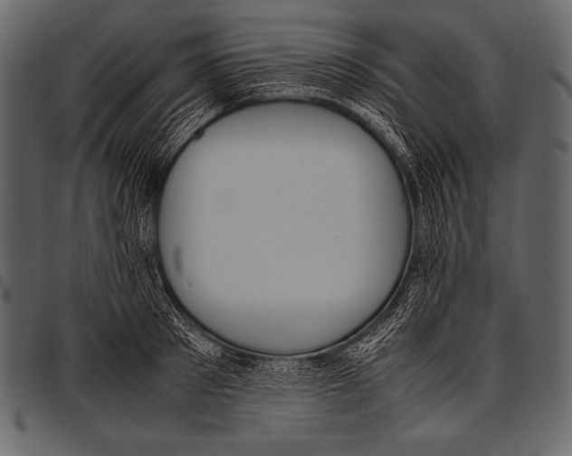 X0000097460897200803201423