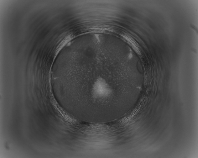 X0000097460899200803201423