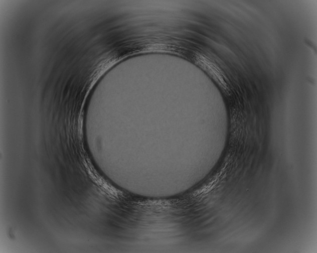 X0000097460900200803201423