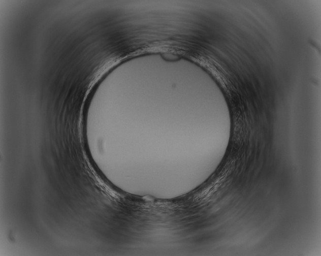 X0000097460902200803201423