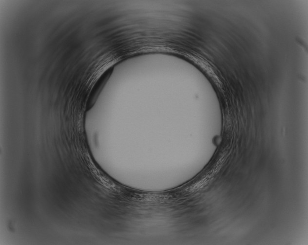 X0000097460905200803201423