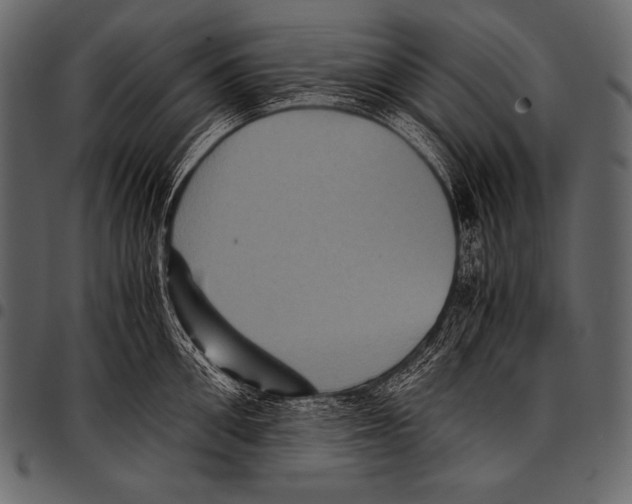 X0000097460906200803201423