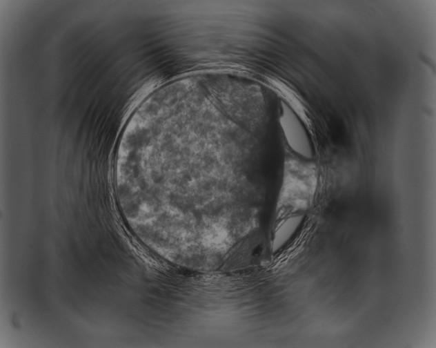 X0000097460907200803201423