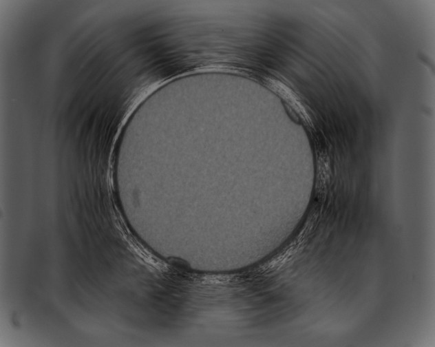 X0000097460908200803201423