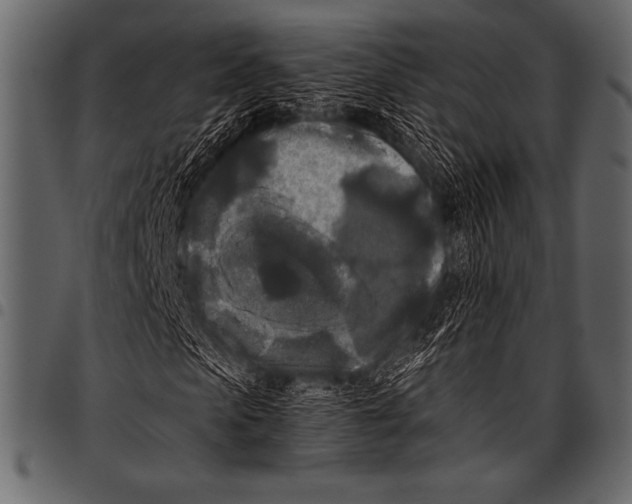 X0000097460913200803201422