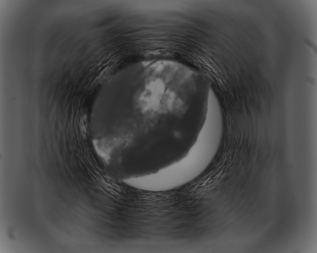 X0000097460915200803201422